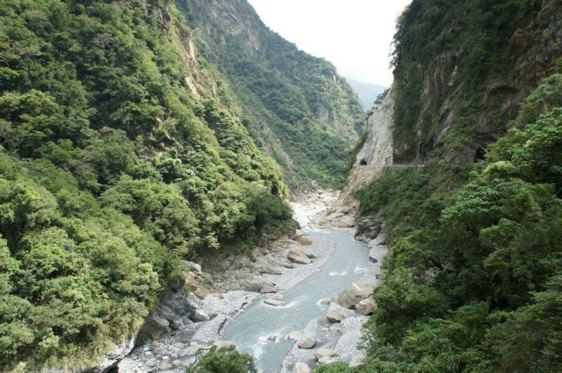 荒岛枪训